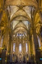 View of the interior of the gothic Cathedral of the Holy Cross and Saint Eulalia