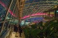 View from the interior top floor of Skygarden Known as the walkie talkie due to its unique distinctive shape, this skyscraper