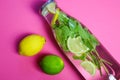 View on isolated water glass bottle flavored with mint leaves and yellow citrus, green lime fruit on pink background Royalty Free Stock Photo