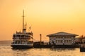 View from Istanbul city with passenger ship, port and seagulls at sunset background