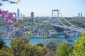 View of Istanbul from Otagtepe with Fatih Bridge. Travel Istanbul background photo