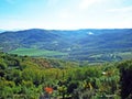 View of the Istrian truffle-rich forest and fertile fields in the Mirna river valley - Motovun, Croatia /Pogled na istarsku sumu