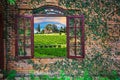 View of the Italian vineyards Royalty Free Stock Photo