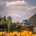 View of the Jade Dragon Snow Mountain and the Black Dragon Pool, Lijiang, Yunnan province, China. The Suocui Bridge with yellow fl Royalty Free Stock Photo