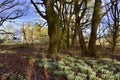 Old Mansion House Ruin Landscape of West Scotland Royalty Free Stock Photo