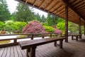 View of Japanese Garden from the Veranda with wood benches Royalty Free Stock Photo