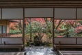 View of Japanese Maple Trees and Leaves from the Japanese Pavilion in Saihoji Garden, Kyoto Royalty Free Stock Photo