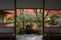 View of Japanese Maple Trees and Leaves from the Japanese Pavilion in Saihoji Garden, Kyoto Royalty Free Stock Photo