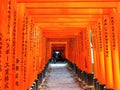 View of the Japanese torii path in Kyoto, Japan.