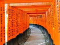 View of the Japanese torii path in Kyoto, Japan.