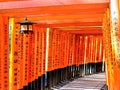 View of the Japanese torii path in Kyoto, Japan.