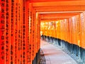 View of the Japanese torii path in Kyoto, Japan.