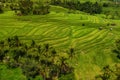 View of Jatiluwih rice terrace, Bali Royalty Free Stock Photo