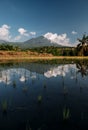 Jatiluwih rice terraces in Bali at sunrise, Indonesia Royalty Free Stock Photo