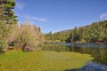 View of Jenks Lake