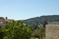 View of Jerusalem in the center of the Jerusalem grove