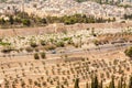 View of Jerusalem old city, Temple Mount and the ancient Jewish cemetery from the Mount of Olives, Israel Royalty Free Stock Photo