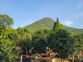 A view of Jiangfengshan Mountain in Jinhua, China