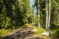 View of the jogging path in the forest