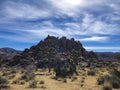 View of Joshua Tree National Park