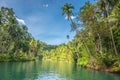 View of jungle green river Loboc at Bohol island of Philippine