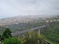 View jungle madeira trees cloudy bridge