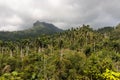 View on jungle with palms at national park alejandro de humboldt near baracoa Cuba Royalty Free Stock Photo