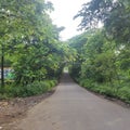 View of jungle road, Aarey, Mumbai