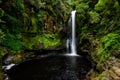 A view of Kaiate Falls in waitao in the western bay of plenty on the north island of new zealand 4 Royalty Free Stock Photo