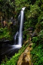A view of Kaiate Falls in waitao in the western bay of plenty on the north island of new zealand 7 Royalty Free Stock Photo