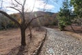 View of Kameyama park Arashiyama, Kyoto, Japan