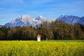 View on Kamnik Savinja alps, Slovenia