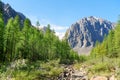 View Karatash peak and Aktru glacier. Altai Republic. Russia Royalty Free Stock Photo