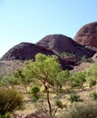 A view of Kata Tjuta Australia Royalty Free Stock Photo