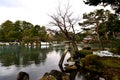 View of the Kenroku En garden during the winter season Royalty Free Stock Photo