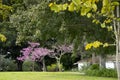 View of Kibbutz Kfar Glikson, Israel Royalty Free Stock Photo