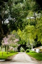 View of Kibbutz Kfar Glikson, Israel Royalty Free Stock Photo