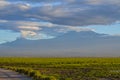 View of the Kilimanjaro in Amboseli National PArk, Kenya, Africa Royalty Free Stock Photo