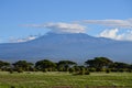 View of the Kilimanjaro and elephants family in Amboseli National Park, Kenya Royalty Free Stock Photo