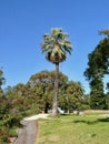 A view at Kings Park in Perth, Westen Australia