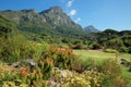 Kirstenbosch botanical gardens - Cape Town Royalty Free Stock Photo