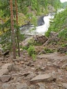 View of the Kivach falls in summer day. Karelia
