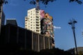 View of a kobra`s graffiti at paulista avenue Royalty Free Stock Photo