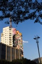 View of a kobra`s graffiti at paulista avenue