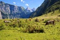 View from the Koenigssee towards the alps Royalty Free Stock Photo
