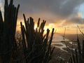 View from Koko Crater during Sunset in Winter on Oahu Island, Hawaii. Royalty Free Stock Photo