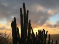 View from Koko Crater during Sunset in Winter on Oahu Island, Hawaii. Royalty Free Stock Photo