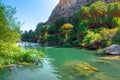 View of Kourtaliotis river and canyon near Preveli beach at Libyan sea, river and palm forest, southern Crete. Royalty Free Stock Photo