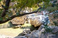 View of Kourtaliotis river and canyon near Preveli beach at Libyan sea, river and palm forest, southern Crete. Royalty Free Stock Photo