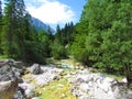 View of Krnica alpine mountain stream in Julian alps and Triglav national park Royalty Free Stock Photo